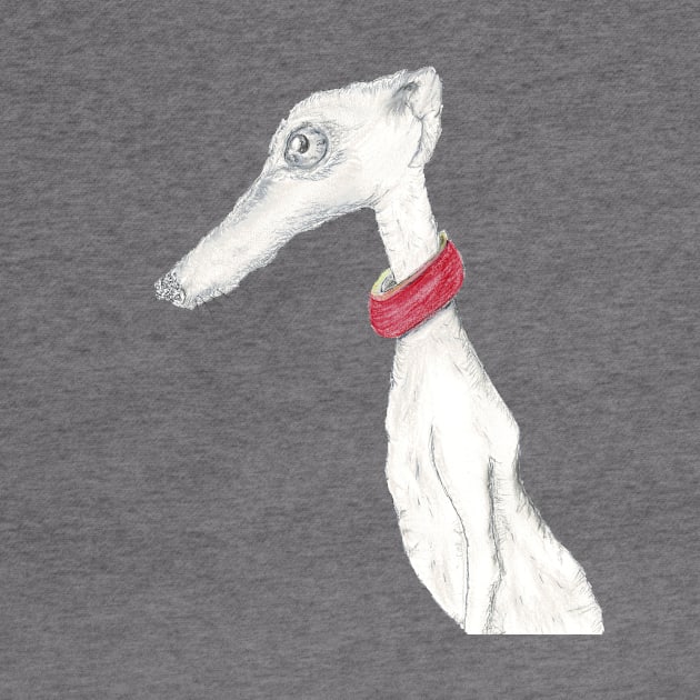 greyhound by haresandcritters